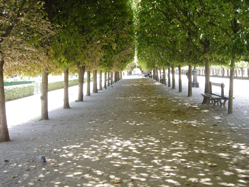 1-palais_royal_allee 1-palais_royal_allee