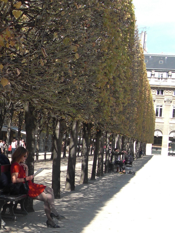 5-palais_royal_banc_robe_rouge 5-palais_royal_banc_robe_rouge