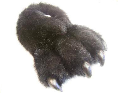 01-patte_slippers 01-patte_slippers