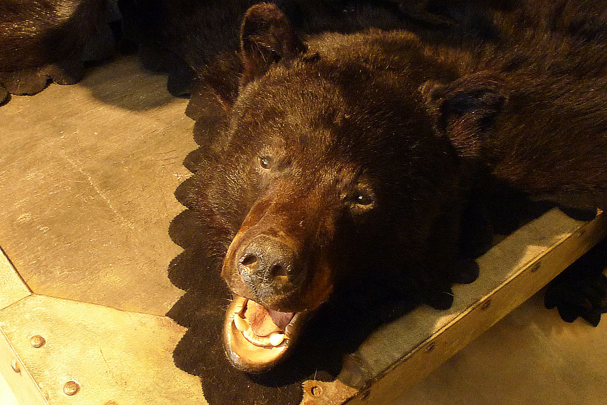 Ours